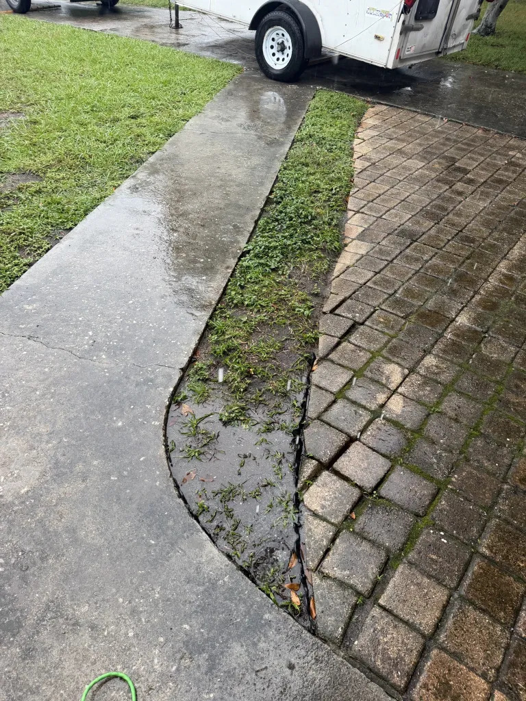 Paver driveway and adjacent walkway at a cleaning project